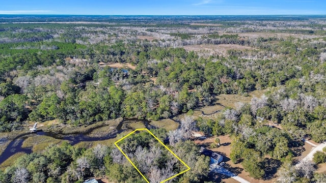 LOT8 Hudson Creek Dr SE, Darien, GA 31305 - photo 4