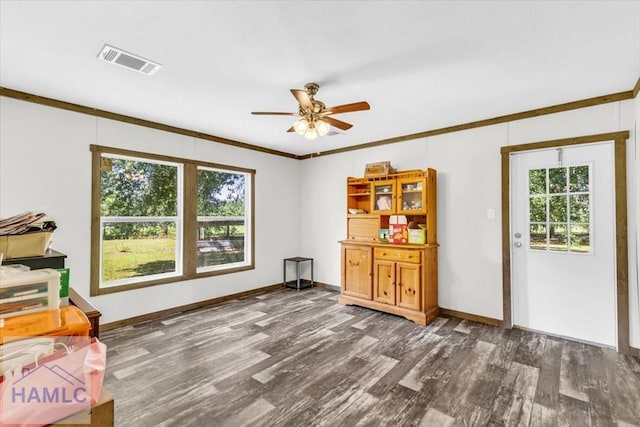 523 White Rd, Ludowici, GA 31316 - photo 22