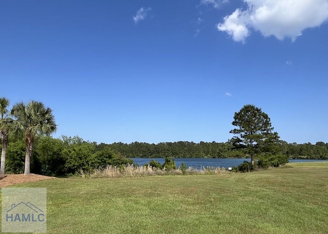 143 Madeira Dr, Brunswick, GA 31523 - photo 41