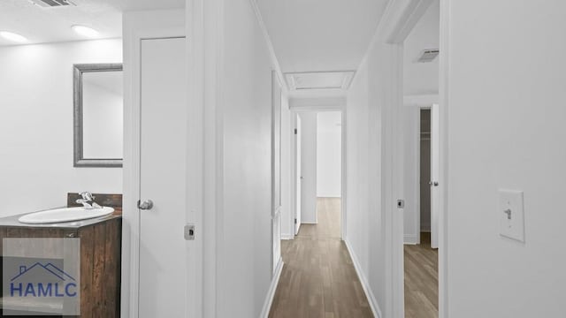 hallway featuring sink and wood-type flooring