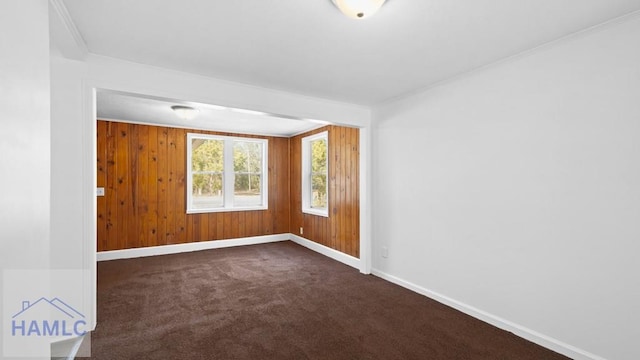 empty room featuring wood walls and dark colored carpet