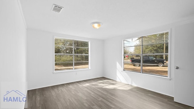 empty room featuring plenty of natural light and dark hardwood / wood-style flooring