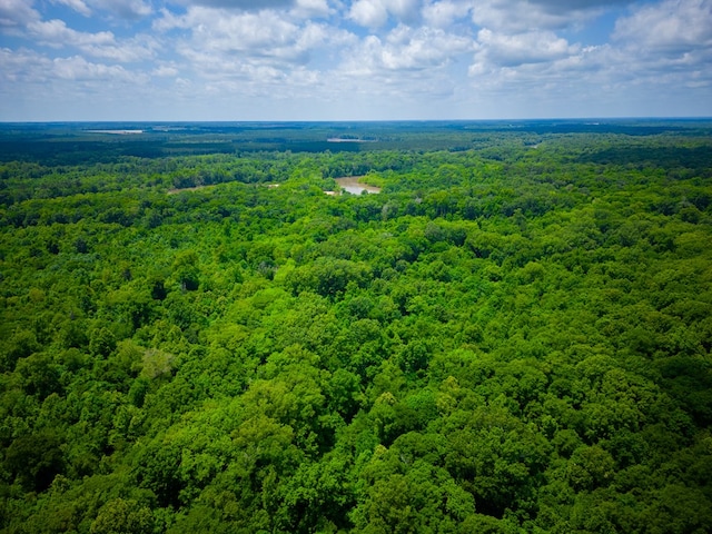 0 E River Rd, Jacksonville, GA 31544 - photo 30