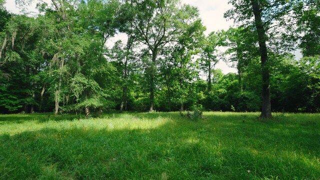 0 E River Rd, Jacksonville, GA 31544 - photo 4