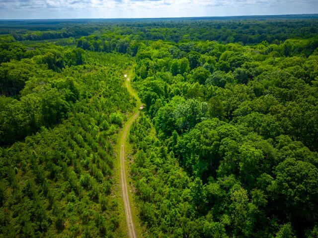 0 E River Rd, Jacksonville, GA 31544 - photo 19