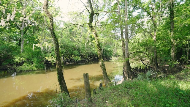 0 E River Rd, Jacksonville, GA 31544 - photo 7
