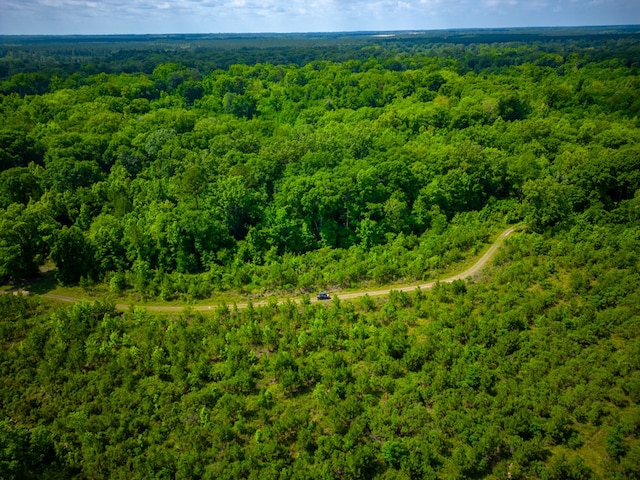 0 E River Rd, Jacksonville, GA 31544 - photo 18