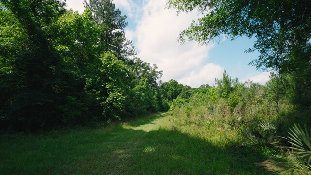 0 E River Rd, Jacksonville, GA 31544 - photo 12