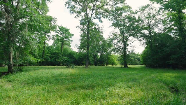 0 E River Rd, Jacksonville, GA 31544 - photo 5