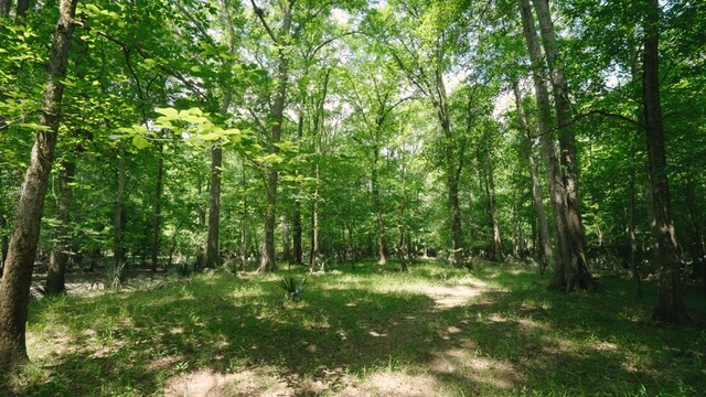 0 E River Rd, Jacksonville, GA 31544 - photo 13