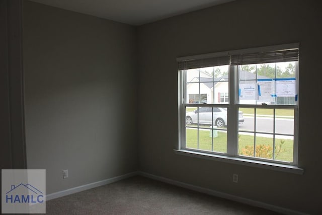 carpeted empty room with plenty of natural light