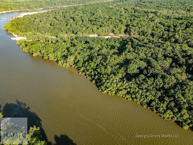 00 Old River Rd, Jesup, GA 31545 - photo 8