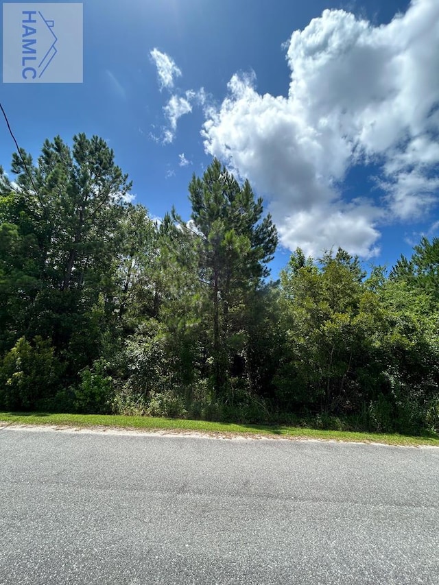 LOT18 Main Trl, Midway GA, 31320 land for sale