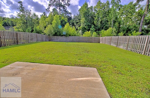 587 Fairview Cir, Hinesville, GA 31313 - view of yard featuring a patio area and view of wooded area