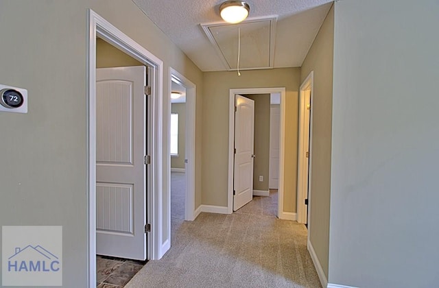 587 Fairview Cir, Hinesville, GA 31313 - corridor with attic access, carpet, baseboards, and a textured ceiling