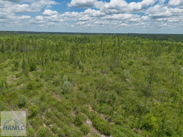 0 Collins Rd, Nicholls, GA 31554