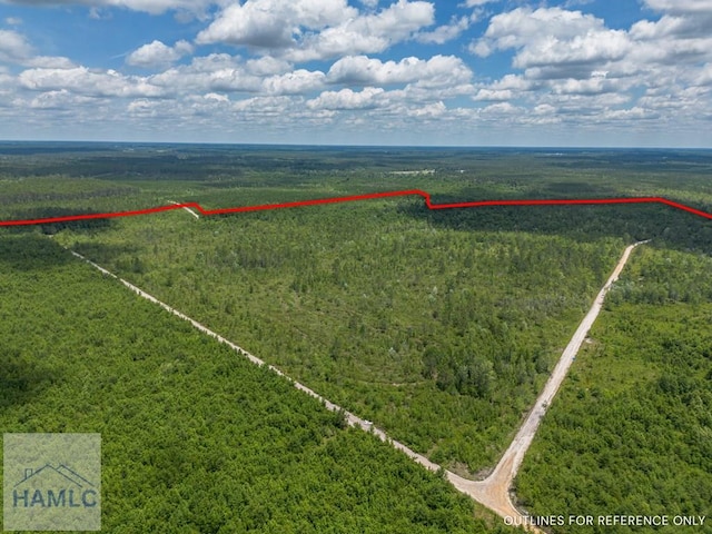 0 Collins Rd, Nicholls, GA 31554