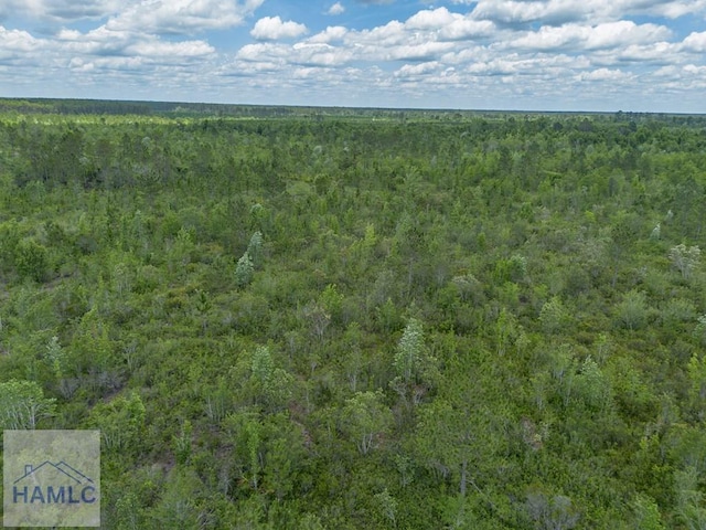 0 Collins Rd, Nicholls, GA 31554