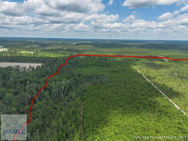 0 Collins Rd, Nicholls, GA 31554