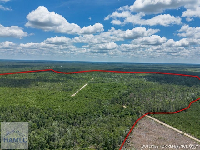 0 Collins Rd, Nicholls, GA 31554