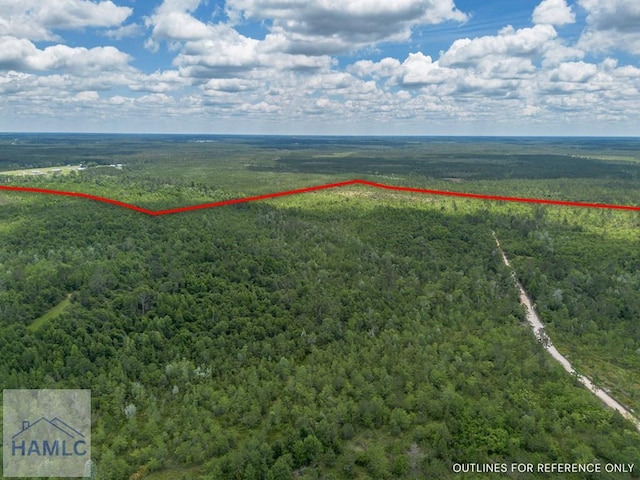 0 Collins Rd, Nicholls, GA 31554