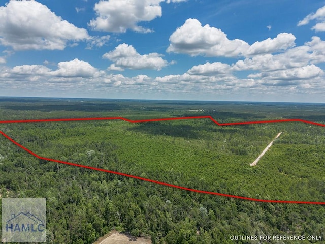 0 Collins Rd, Nicholls, GA 31554