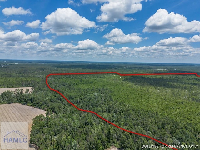 0 Collins Rd, Nicholls, GA 31554