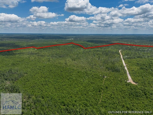 0 Collins Rd, Nicholls, GA 31554