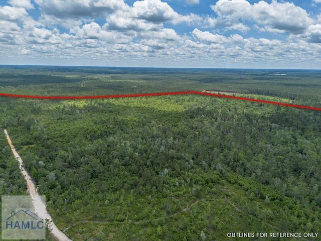 0 Collins Rd, Nicholls, GA 31554