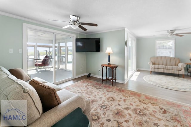 living room with ceiling fan, a healthy amount of sunlight, light hardwood / wood-style floors, and ornamental molding