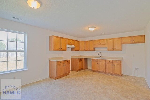 1 Blackberry Ln, Port Wentworth, GA 31407 - kitchen featuring a sink, under cabinet range hood, baseboards, and light floors