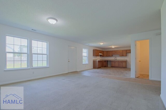 1 Blackberry Ln, Port Wentworth, GA 31407 - unfurnished living room featuring a sink, light carpet, and baseboards