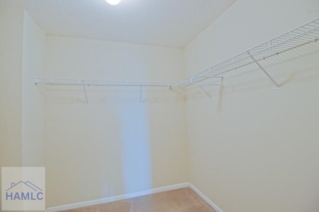 1 Blackberry Ln, Port Wentworth, GA 31407 - spacious closet with carpet flooring