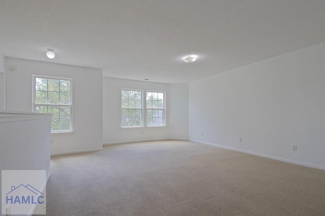 1 Blackberry Ln, Port Wentworth, GA 31407 - empty room with light carpet, plenty of natural light, and baseboards