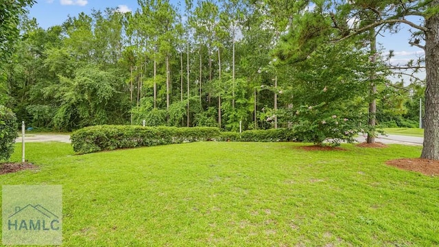 705 S 11th St, Jesup, GA 31545 - view of green lawn