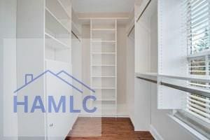 walk in closet featuring wood-type flooring