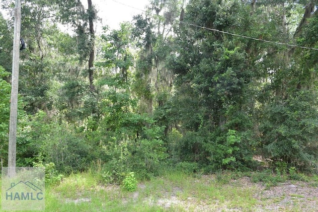 LOT42 Japonica Dr, Midway, GA 31320