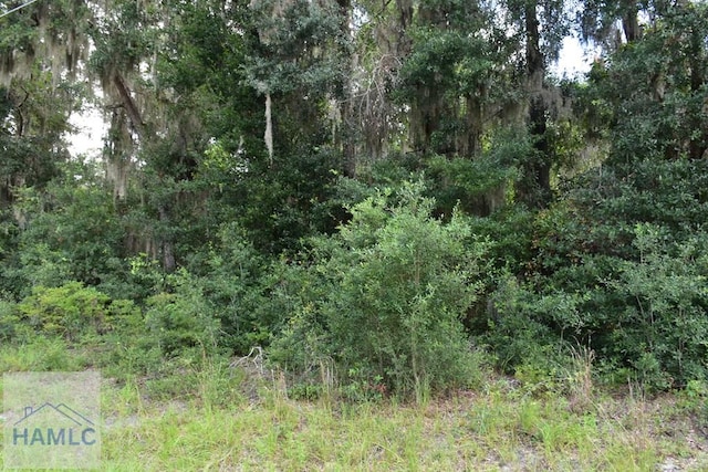 LOT42 Japonica Dr, Midway, GA 31320