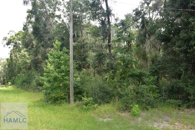 LOT42 Japonica Dr, Midway, GA 31320