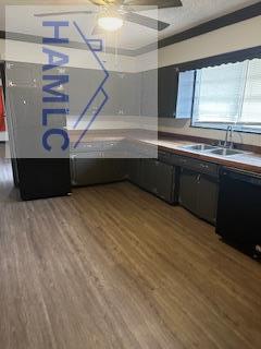 kitchen with ceiling fan, dishwasher, hardwood / wood-style flooring, and sink