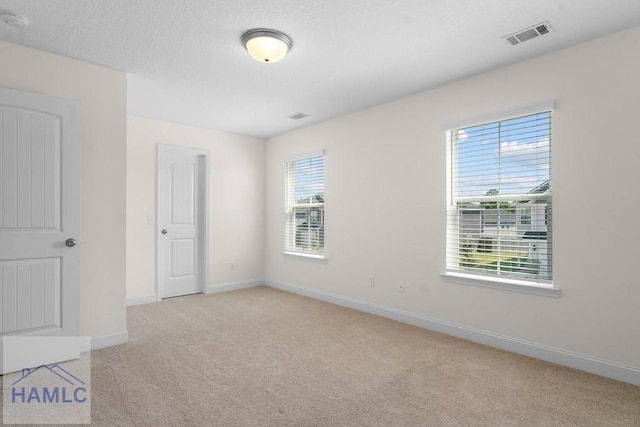 carpeted empty room featuring a wealth of natural light