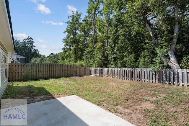 view of yard featuring a patio area