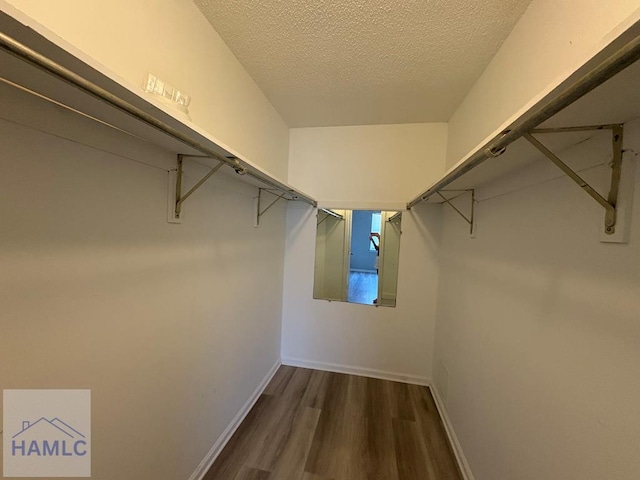 spacious closet featuring dark wood-type flooring