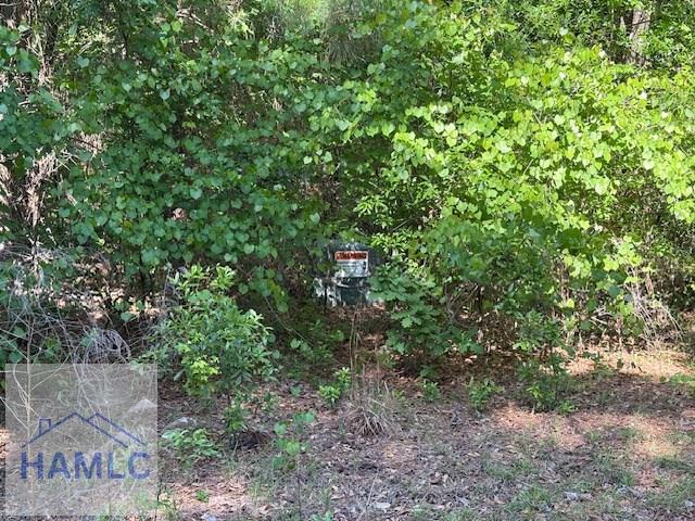 Lot9 Moss Landing, Jesup, GA 31545 - photo 14