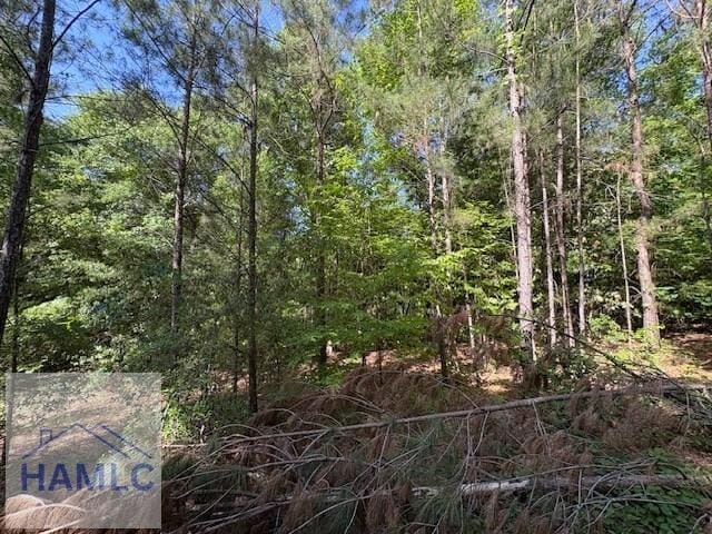 Lot9 Moss Landing, Jesup, GA 31545 - photo 11