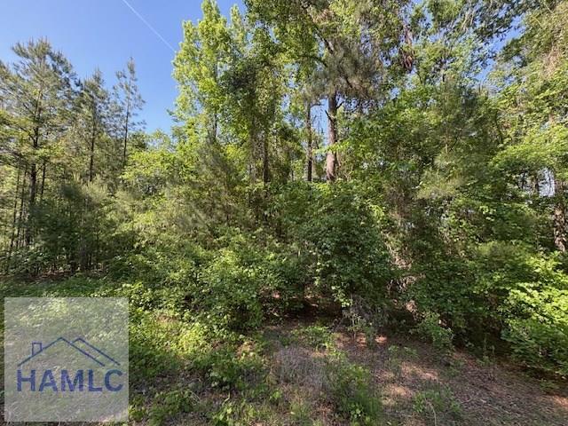 Lot9 Moss Landing, Jesup, GA 31545 - photo 12