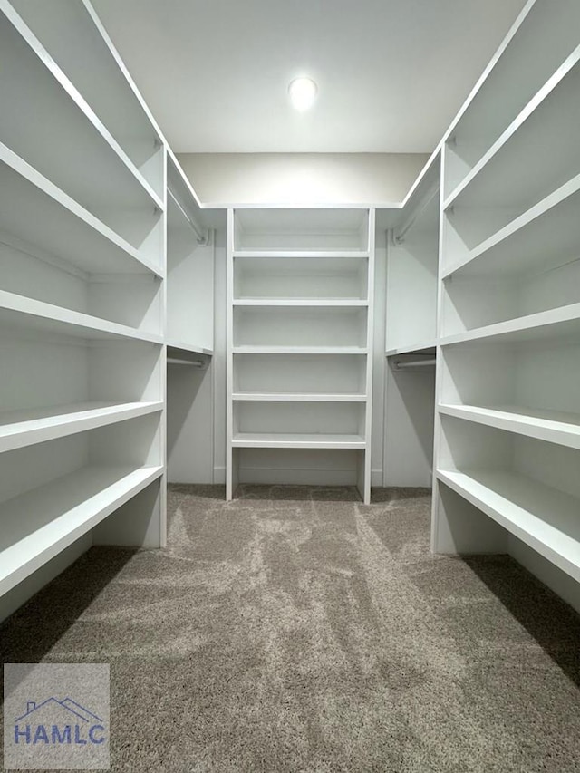 193W Melody Dr, Jesup, GA 31545 - walk in closet featuring carpet flooring
