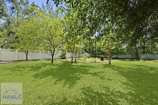 265 Mahan St, Jesup, GA 31545 - view of fenced backyard