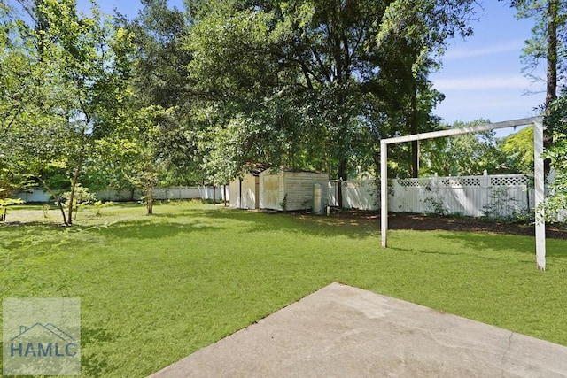 265 Mahan St, Jesup, GA 31545 - fenced backyard with a shed and a patio