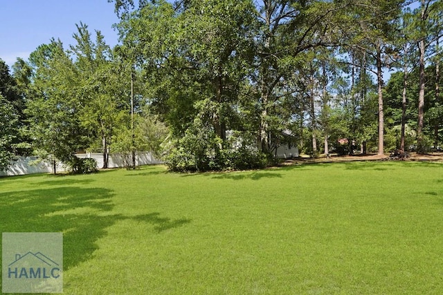 265 Mahan St, Jesup, GA 31545 - view of yard